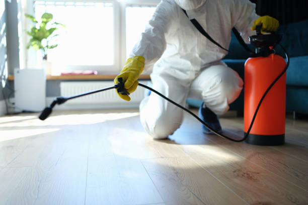Reliable Sewage Cleanup contractor in Springfield, FL by Trauma Clean Pros